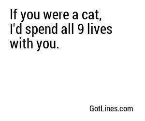 If you were a cat, I'd spend all 9 lives with you.
