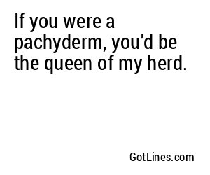 If you were a pachyderm, you'd be the queen of my herd.