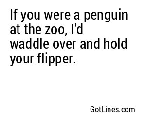 If you were a penguin at the zoo, I'd waddle over and hold your flipper.