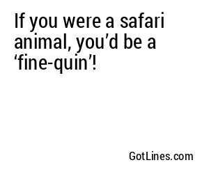 If you were a safari animal, you’d be a ‘fine-quin’!