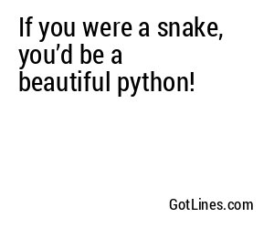 If you were a snake, you’d be a beautiful python!