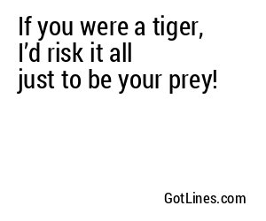 If you were a tiger, I’d risk it all just to be your prey!
