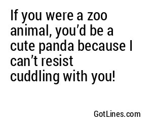 If you were a zoo animal, you’d be a cute panda because I can’t resist cuddling with you!