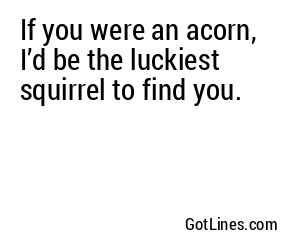 If you were an acorn, I’d be the luckiest squirrel to find you.