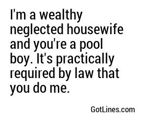I'm a wealthy neglected housewife and you're a pool boy. It's practically required by law that you do me.