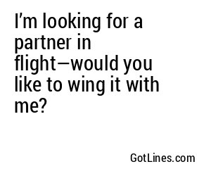 I’m looking for a partner in flight—would you like to wing it with me?