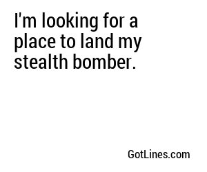 I'm looking for a place to land my stealth bomber.
