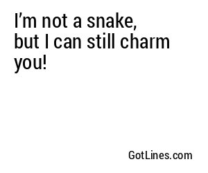 I’m not a snake, but I can still charm you!