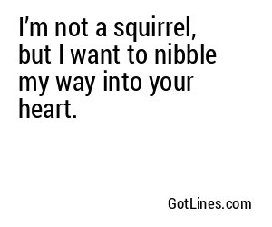 I’m not a squirrel, but I want to nibble my way into your heart.
