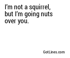 I’m not a squirrel, but I’m going nuts over you.