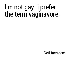 I'm not gay. I prefer the term vaginavore.
