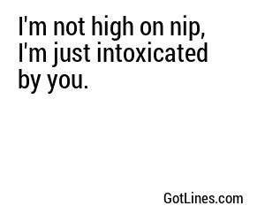 I'm not high on nip, I'm just intoxicated by you.
