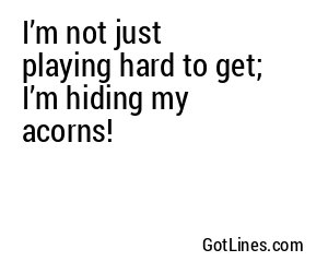 I’m not just playing hard to get; I’m hiding my acorns!