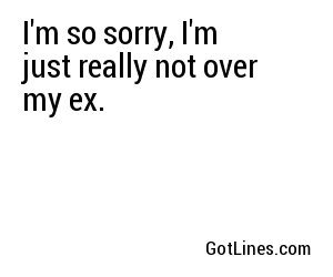 I'm so sorry, I'm just really not over my ex.
