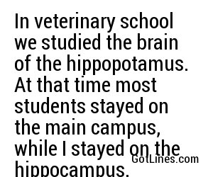 In veterinary school we studied the brain of the hippopotamus. At that time most students stayed on the main campus, while I stayed on the hippocampus.
