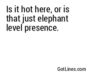 Is it hot here, or is that just elephant level presence.