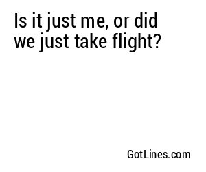 Is it just me, or did we just take flight?