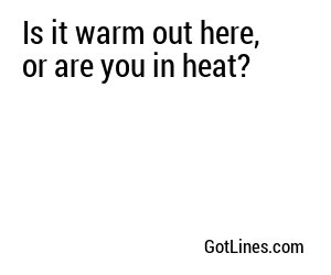 Is it warm out here, or are you in heat?
