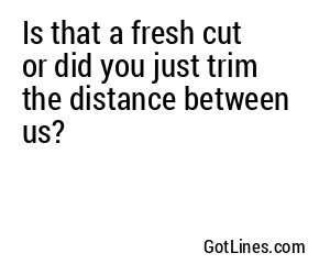 Is that a fresh cut or did you just trim the distance between us?
