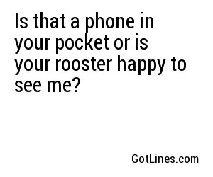 Is that a phone in your pocket or is your rooster happy to see me?
