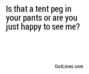 Is that a tent peg in your pants or are you just happy to see me?