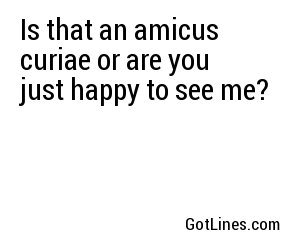Is that an amicus curiae or are you just happy to see me?