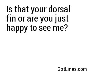 Is that your dorsal fin or are you just happy to see me?