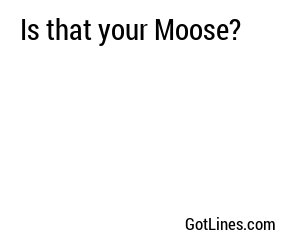 Is that your Moose?
