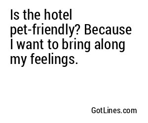 Is the hotel pet-friendly? Because I want to bring along my feelings.