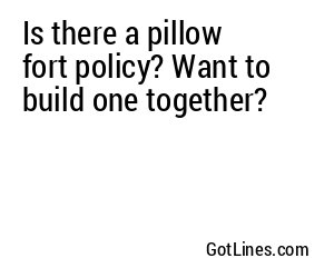 Is there a pillow fort policy? Want to build one together?