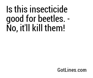 Is this insecticide good for beetles. - No, it'll kill them!