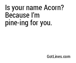 Is your name Acorn? Because I’m pine-ing for you.