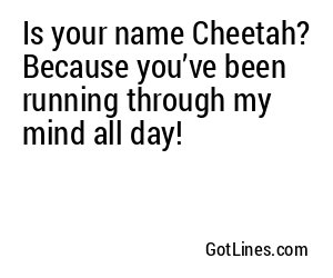 Is your name Cheetah? Because you’ve been running through my mind all day!
