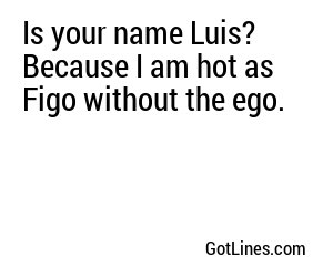 Is your name Luis? Because I am hot as Figo without the ego.
