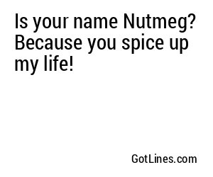 Is your name Nutmeg? Because you spice up my life!
