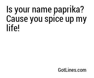 Is your name paprika? Cause you spice up my life!
