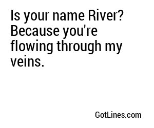 Is your name River? Because you're flowing through my veins.
