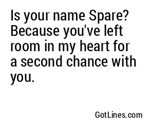 Is your name Spare? Because you've left room in my heart for a second chance with you.