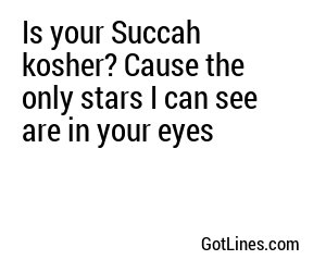 Is your Succah kosher? Cause the only stars I can see are in your eyes
