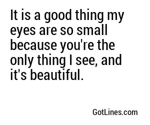 It is a good thing my eyes are so small because you're the only thing I see, and it's beautiful.
