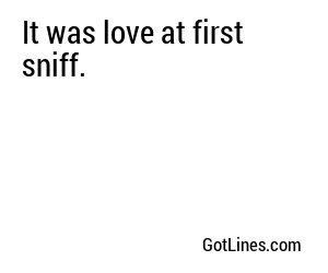 It was love at first sniff.
