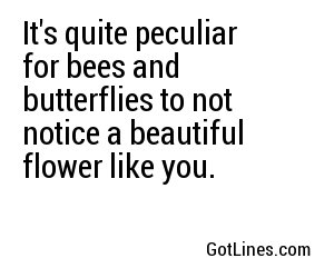 It's quite peculiar for bees and butterflies to not notice a beautiful flower like you.