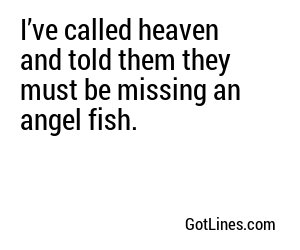 I’ve called heaven and told them they must be missing an angel fish.
