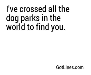 I've crossed all the dog parks in the world to find you.
