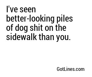 I've seen better-looking piles of dog shit on the sidewalk than you.
