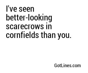 I've seen better-looking scarecrows in cornfields than you.
