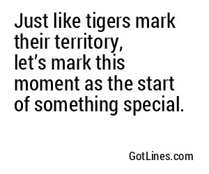 Just like tigers mark their territory, let’s mark this moment as the start of something special.
