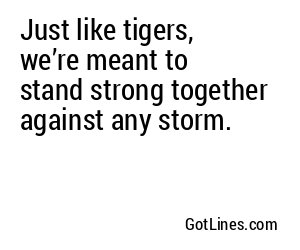 Just like tigers, we’re meant to stand strong together against any storm.