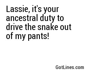 Lassie, it's your ancestral duty to drive the snake out of my pants!