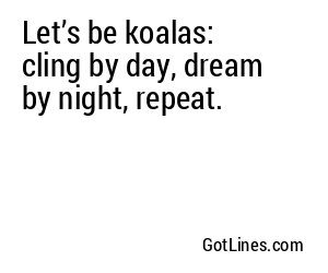 Let’s be koalas: cling by day, dream by night, repeat.
